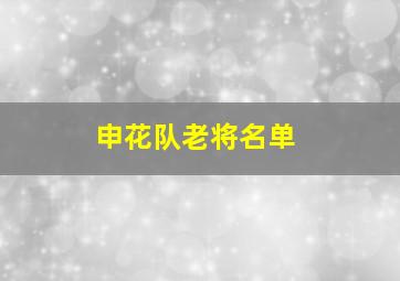 申花队老将名单