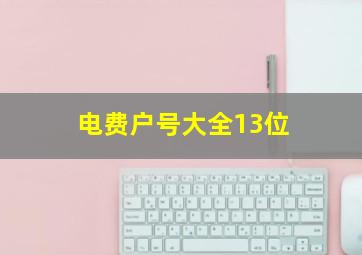 电费户号大全13位