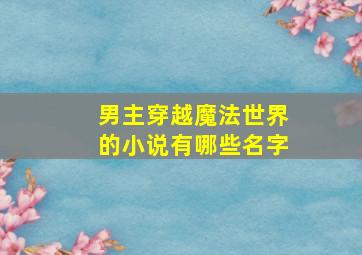 男主穿越魔法世界的小说有哪些名字