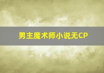 男主魔术师小说无CP