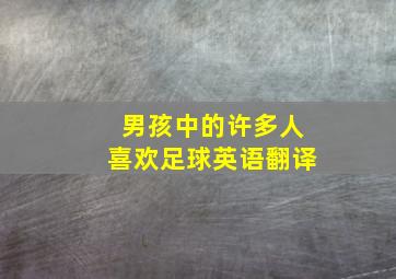 男孩中的许多人喜欢足球英语翻译