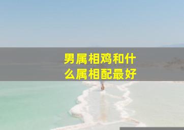 男属相鸡和什么属相配最好