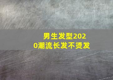 男生发型2020潮流长发不烫发