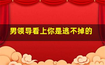 男领导看上你是逃不掉的