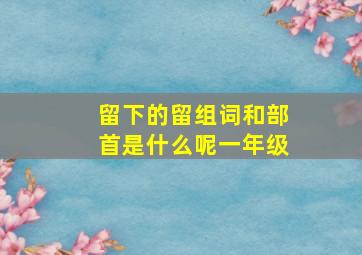 留下的留组词和部首是什么呢一年级