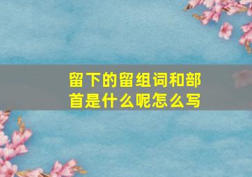 留下的留组词和部首是什么呢怎么写