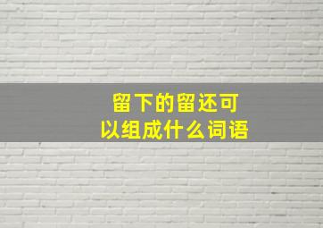 留下的留还可以组成什么词语