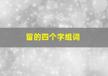 留的四个字组词