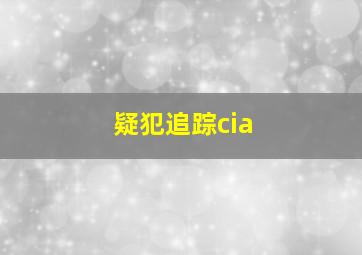 疑犯追踪cia