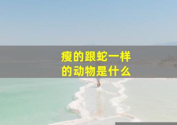 瘦的跟蛇一样的动物是什么