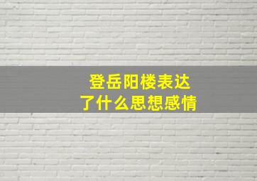 登岳阳楼表达了什么思想感情