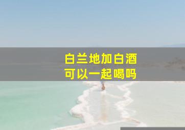 白兰地加白酒可以一起喝吗