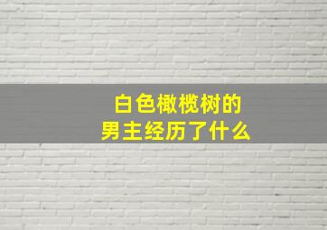 白色橄榄树的男主经历了什么