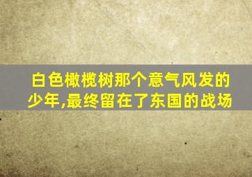 白色橄榄树那个意气风发的少年,最终留在了东国的战场