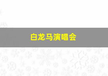 白龙马演唱会