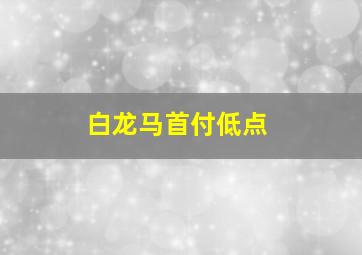 白龙马首付低点