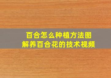 百合怎么种植方法图解养百合花的技术视频