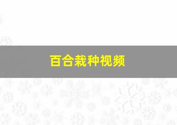 百合栽种视频