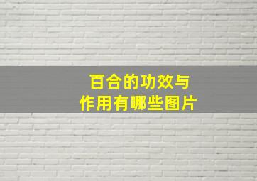 百合的功效与作用有哪些图片