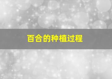 百合的种植过程