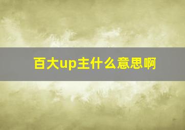 百大up主什么意思啊