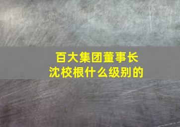 百大集团董事长沈校根什么级别的