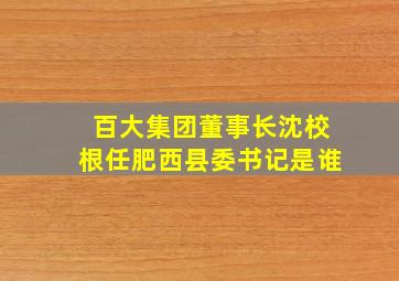 百大集团董事长沈校根任肥西县委书记是谁