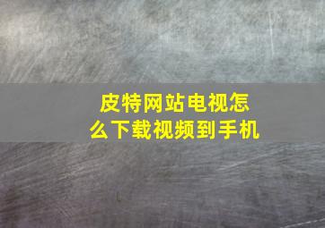 皮特网站电视怎么下载视频到手机