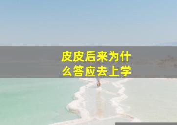 皮皮后来为什么答应去上学