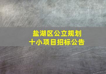 盐湖区公立规划十小项目招标公告