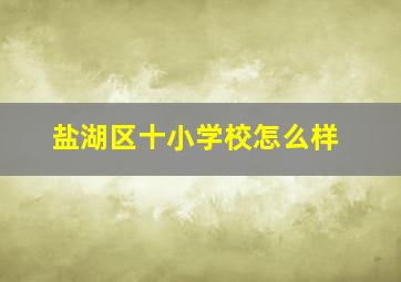 盐湖区十小学校怎么样