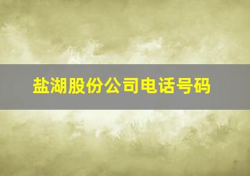 盐湖股份公司电话号码