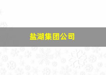 盐湖集团公司