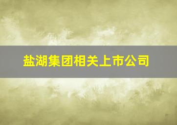 盐湖集团相关上市公司