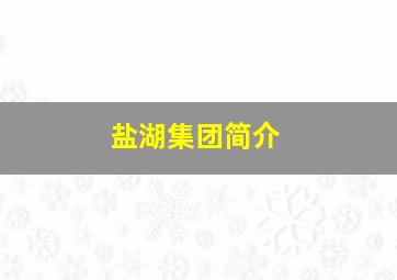 盐湖集团简介