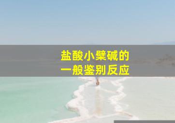 盐酸小檗碱的一般鉴别反应