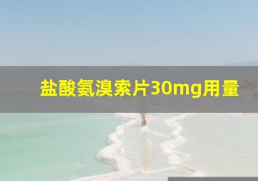 盐酸氨溴索片30mg用量