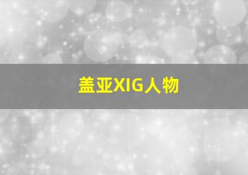 盖亚XIG人物