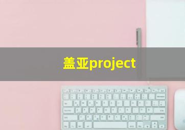 盖亚project