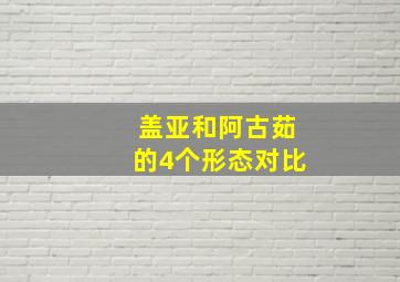 盖亚和阿古茹的4个形态对比