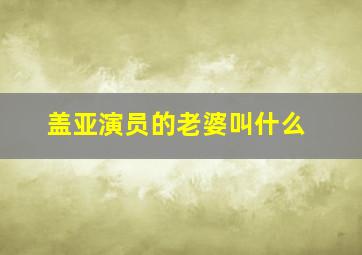 盖亚演员的老婆叫什么