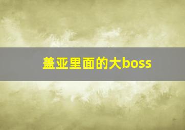 盖亚里面的大boss