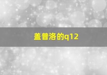 盖普洛的q12