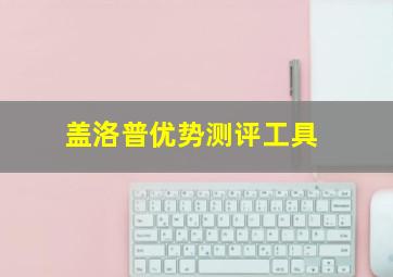 盖洛普优势测评工具