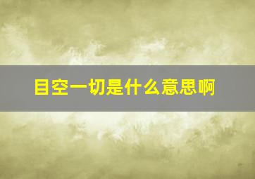 目空一切是什么意思啊