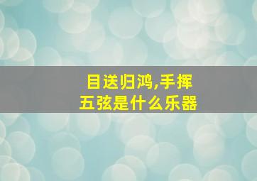 目送归鸿,手挥五弦是什么乐器