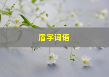 盾字词语