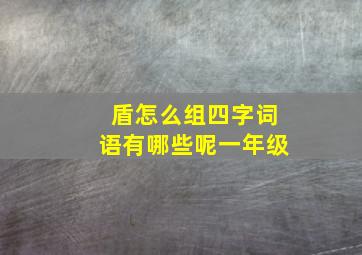 盾怎么组四字词语有哪些呢一年级