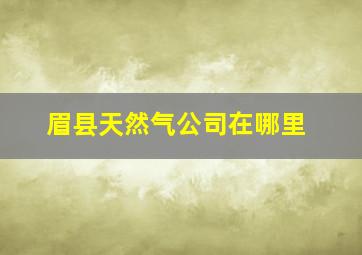 眉县天然气公司在哪里