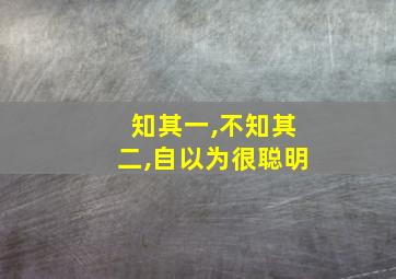 知其一,不知其二,自以为很聪明